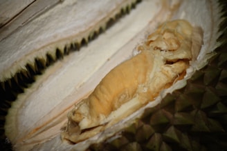 A close-up view of the inside of a durian fruit displaying its creamy, golden-yellow flesh surrounded by the thick, spiky green rind.