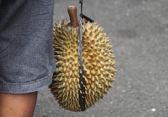 person holding yellow fruit during daytime