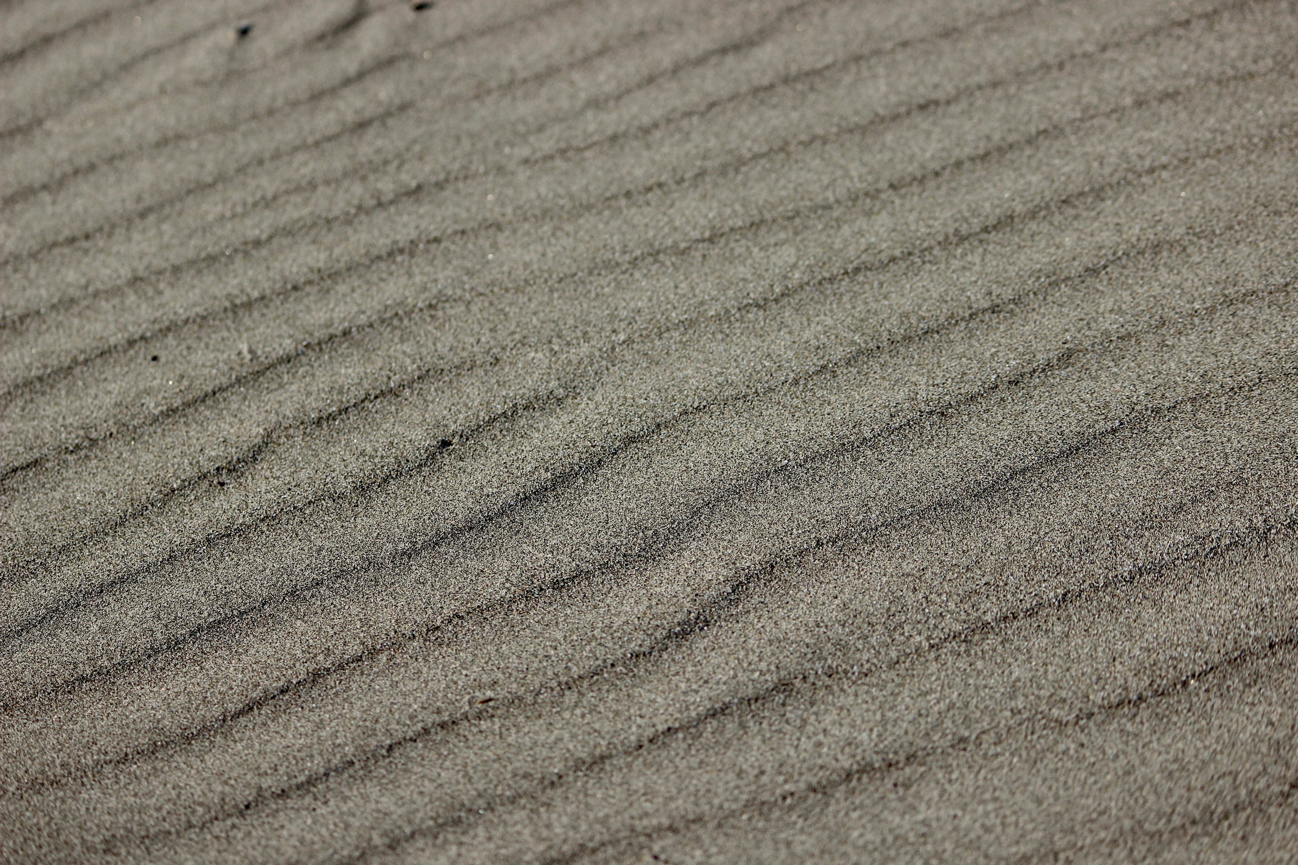 Photo by cansindogaalis