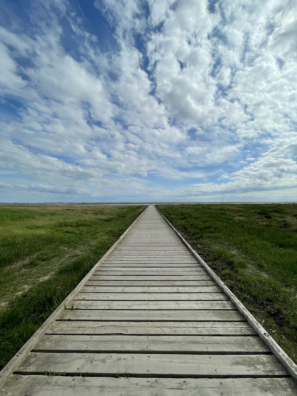 brown wooden pathway between green grass field under blue and white cloudy sky during daytime