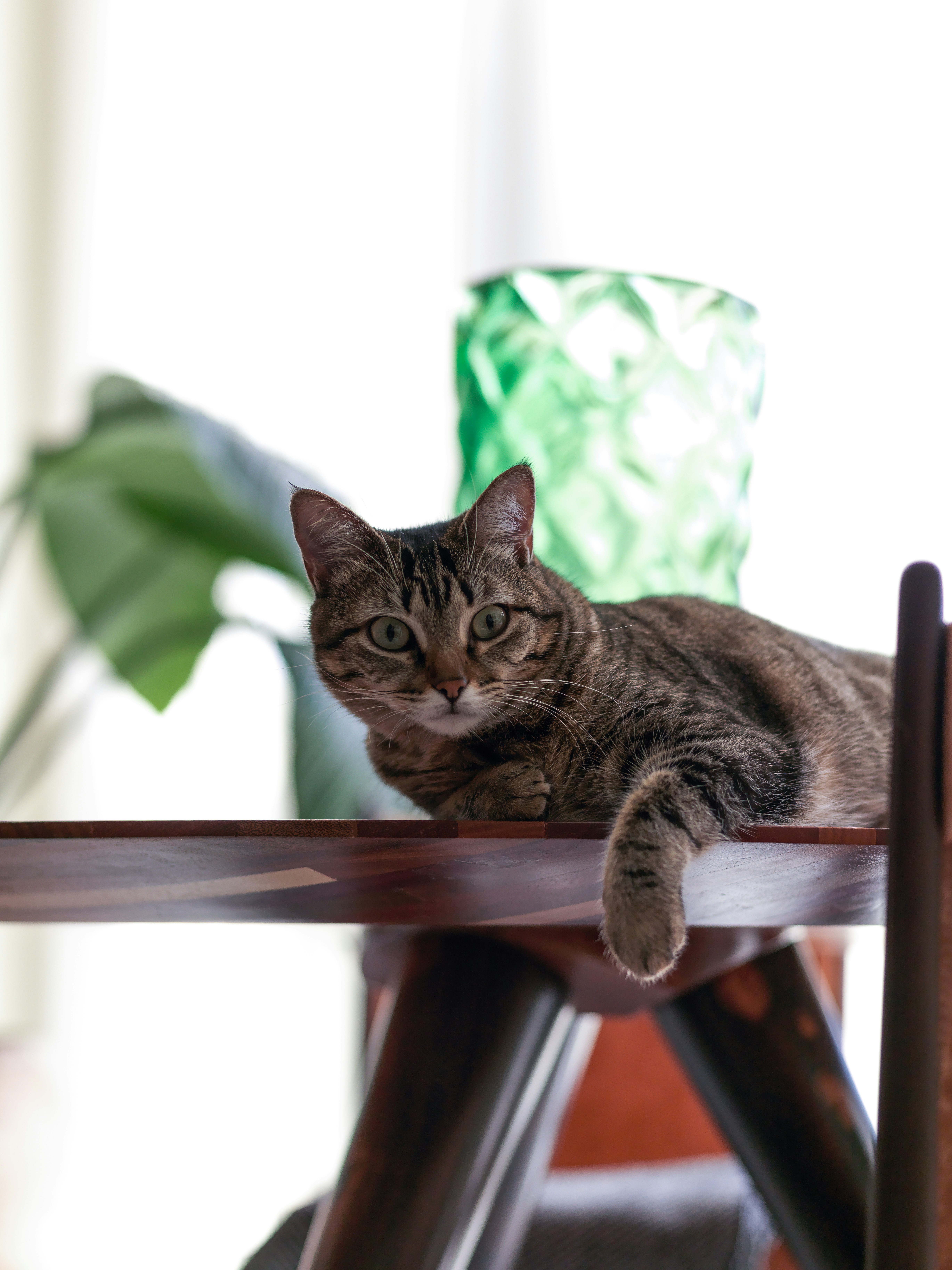 Photo by marcomartinsfilho