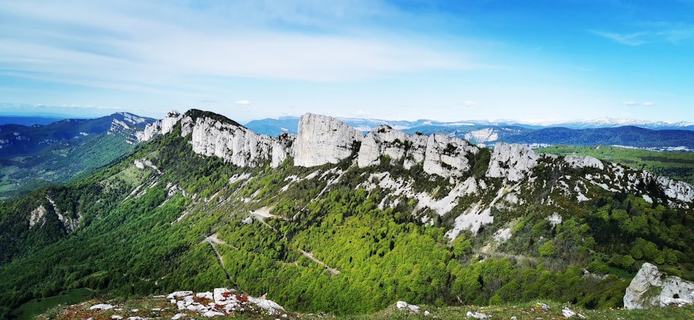 Grünes Gras und grauer felsiger Berg unter blauem Himmel tagsüber