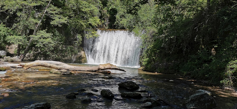 waterfalls in the middle of green trees