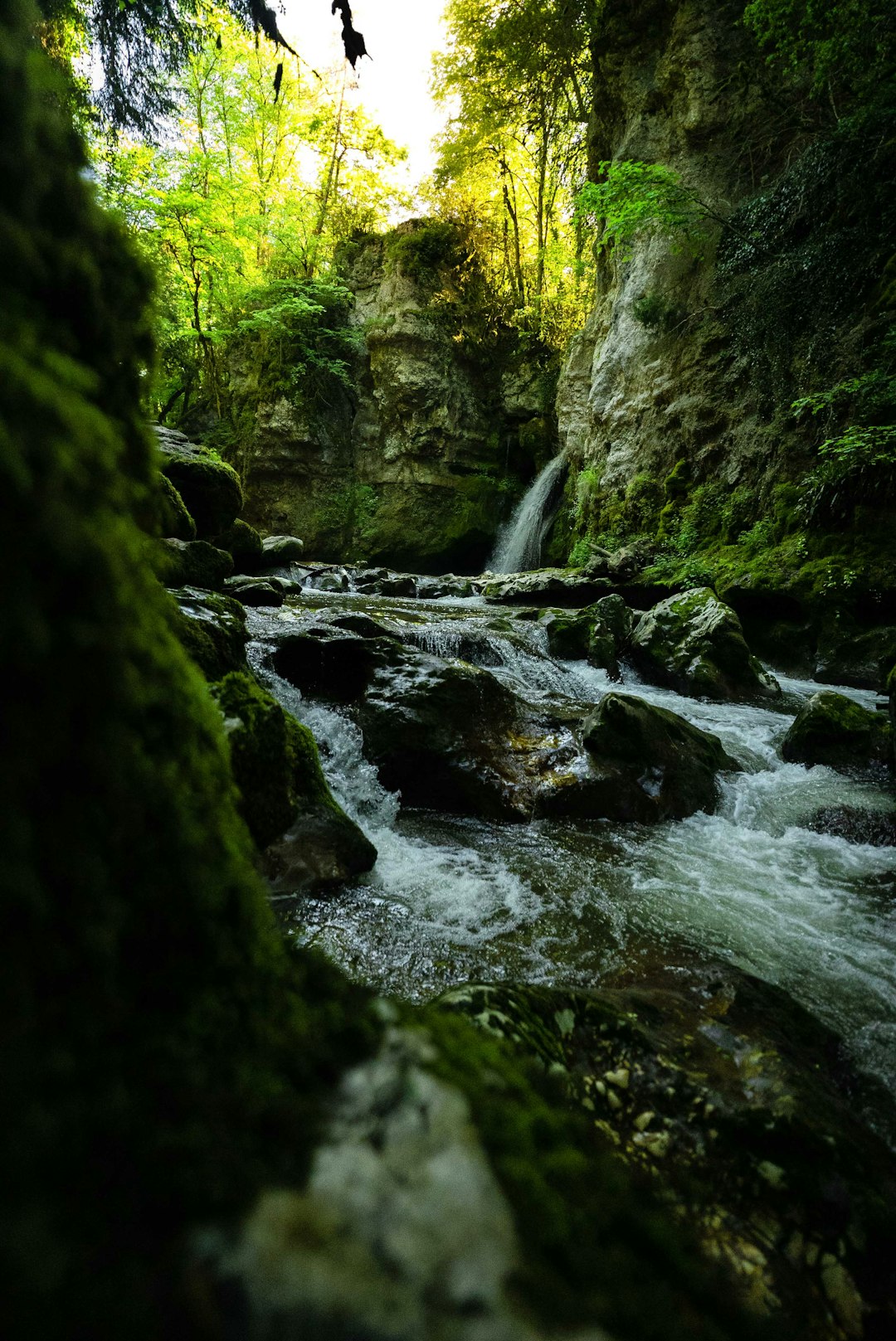 green moss on rock formation near waterfalls during daytime