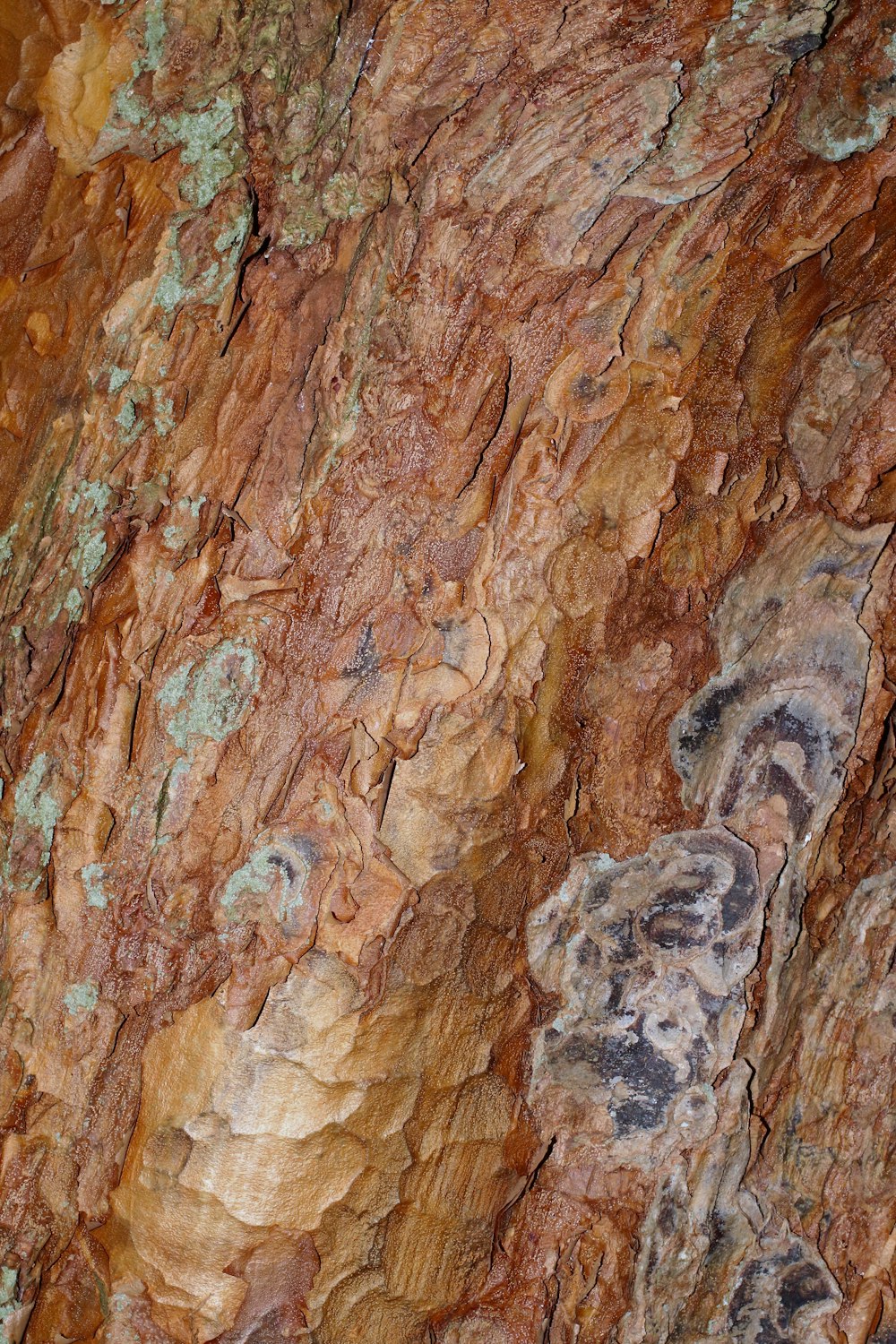 brown and black rock formation