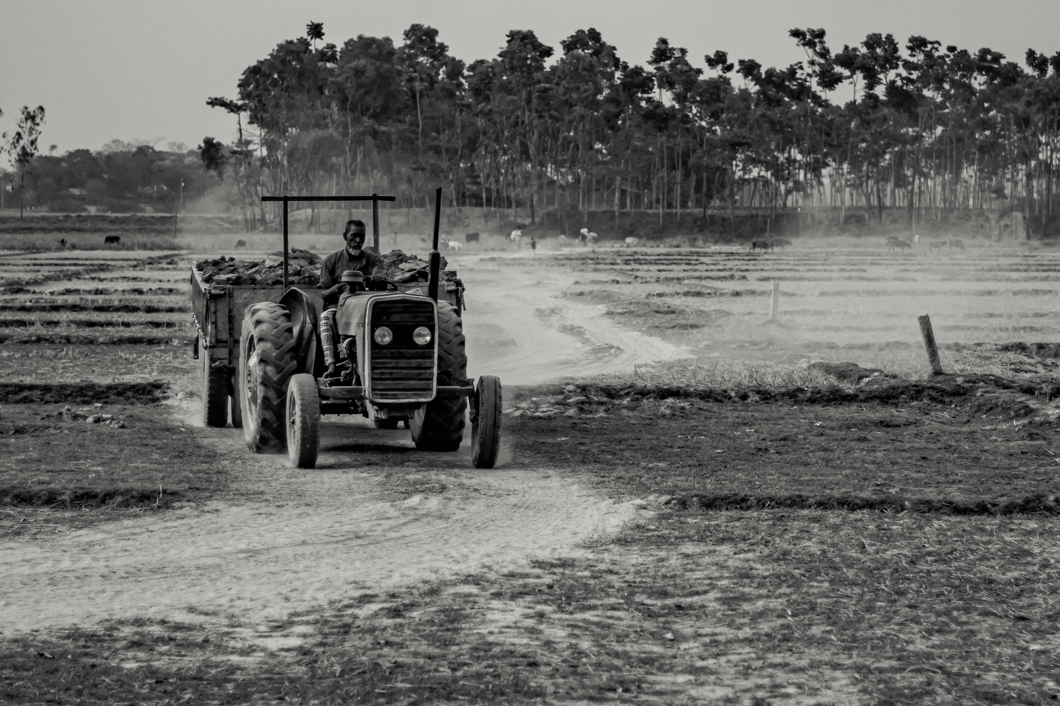 Photo by asadsnapper