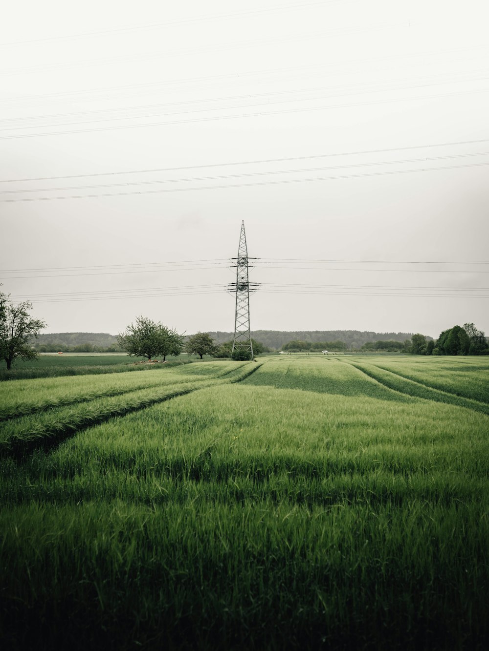 green grass field near electricity tower