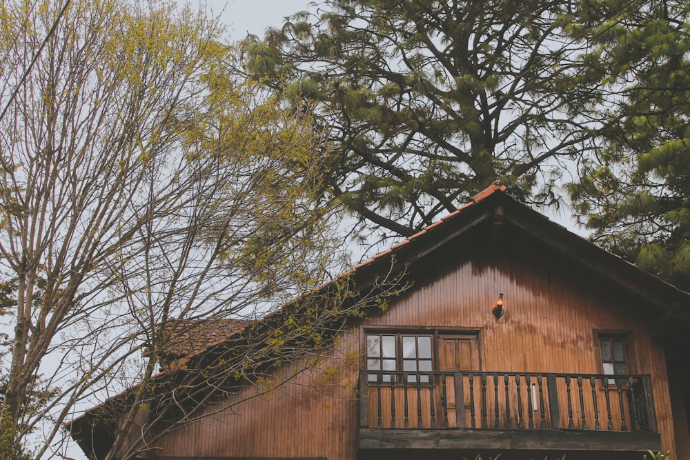 brown wooden house near green tree during daytime