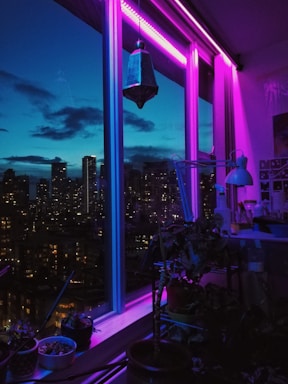 city with high rise buildings during night time