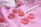 A soft pink background with various beauty items arranged on it, including a makeup brush with a fluffy pink tip, a small tube of lipstick, two round decorative plastic pieces with striped designs, and a clear, round bottle. The scene is set with a gentle, feminine aesthetic.