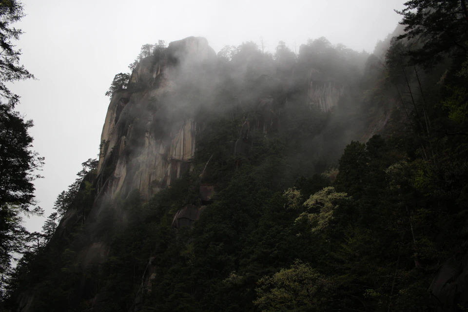 The image depicts a foggy mountain landscape with a large, dark gray cliff on the right side and a lighter green forest on the left side. The fog obscures the view from the top of the cliff but reveals glimpses of the forest below. The sky above is overcast, casting a soft light that enhances the misty atmosphere.
