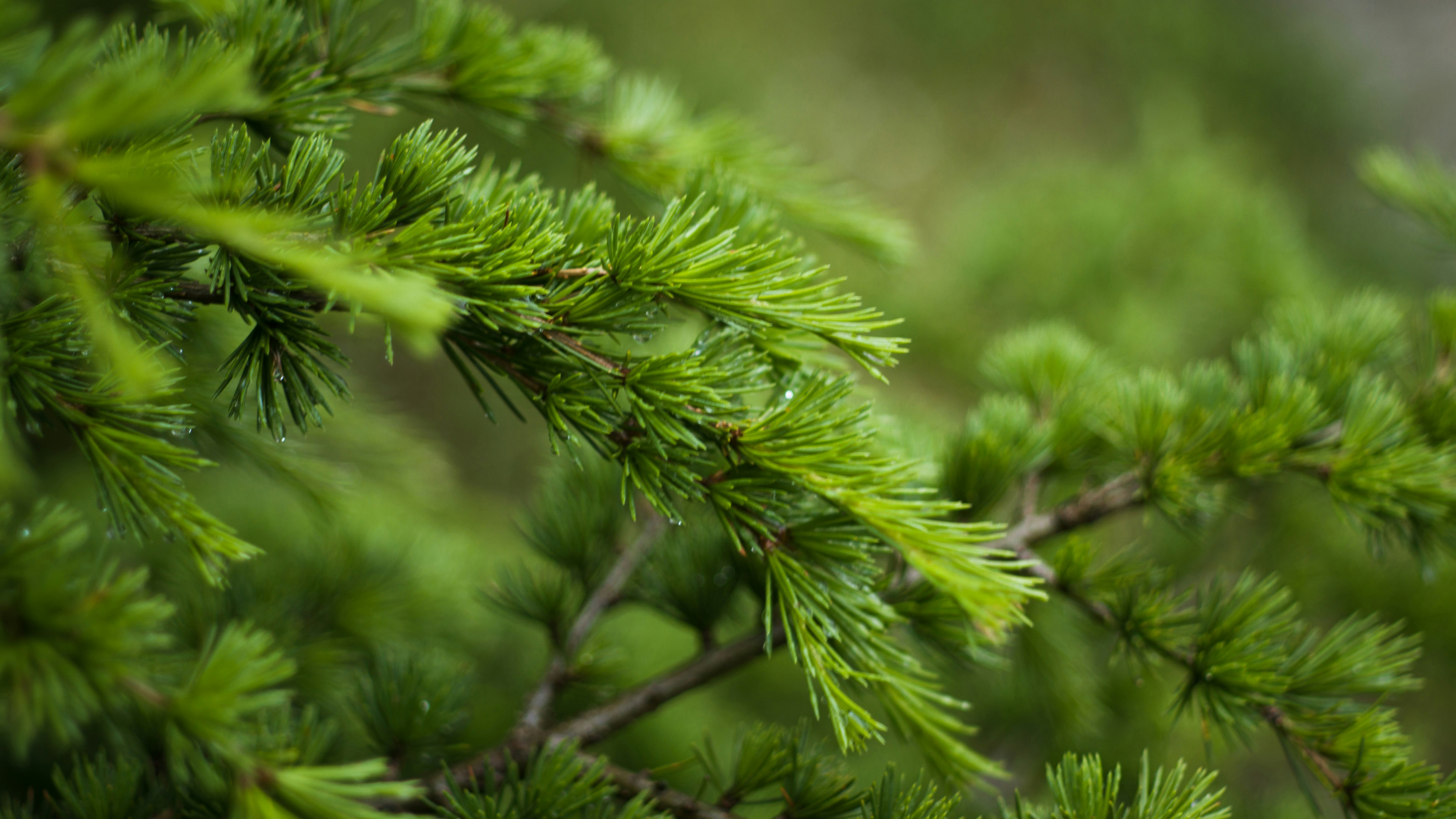 Photo by fethibenattallah