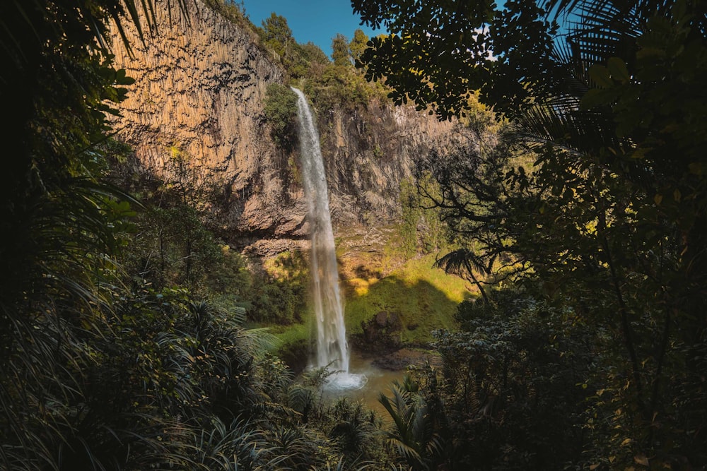 cascate nel mezzo della foresta durante il giorno