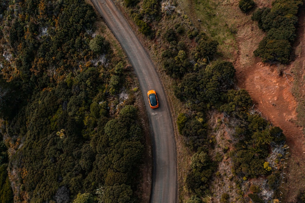 森の真ん中にある道路の空中写真