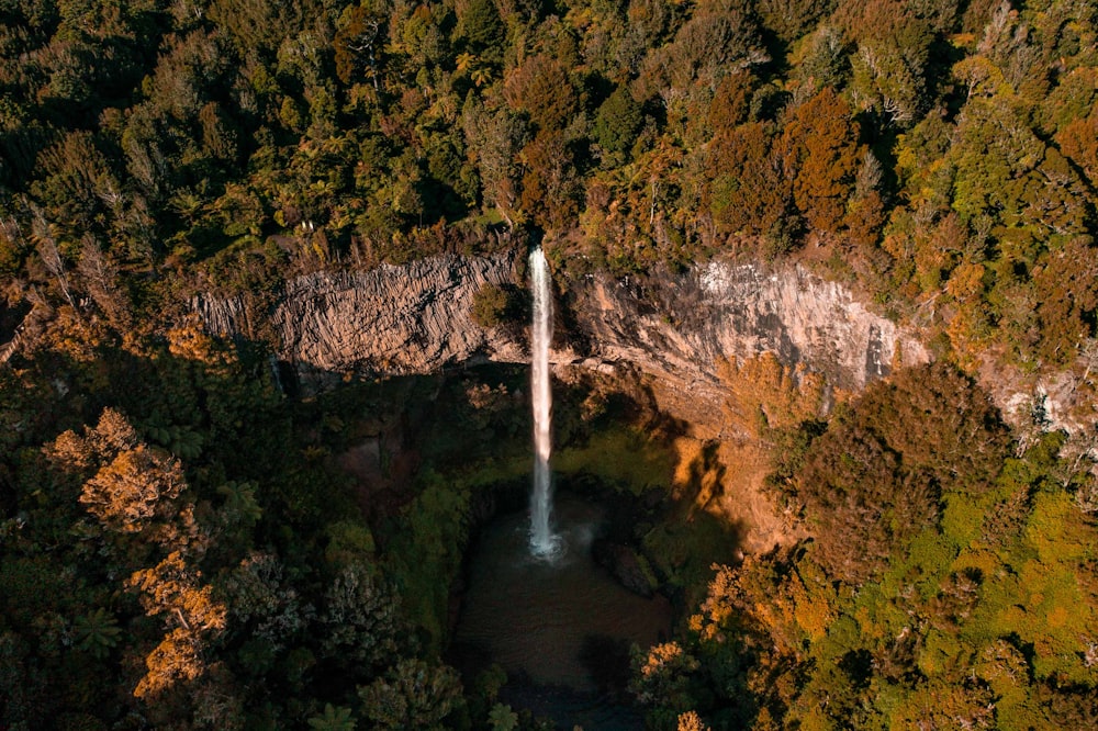 waterfalls in the middle of forest