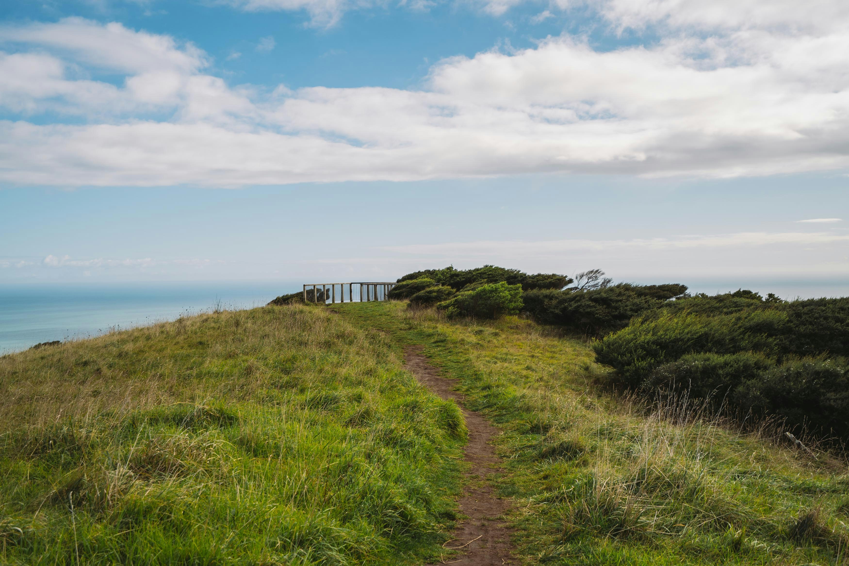 Path leading to Te Toto Gorge Lookout in Raglan, Waikato, New Zealand.