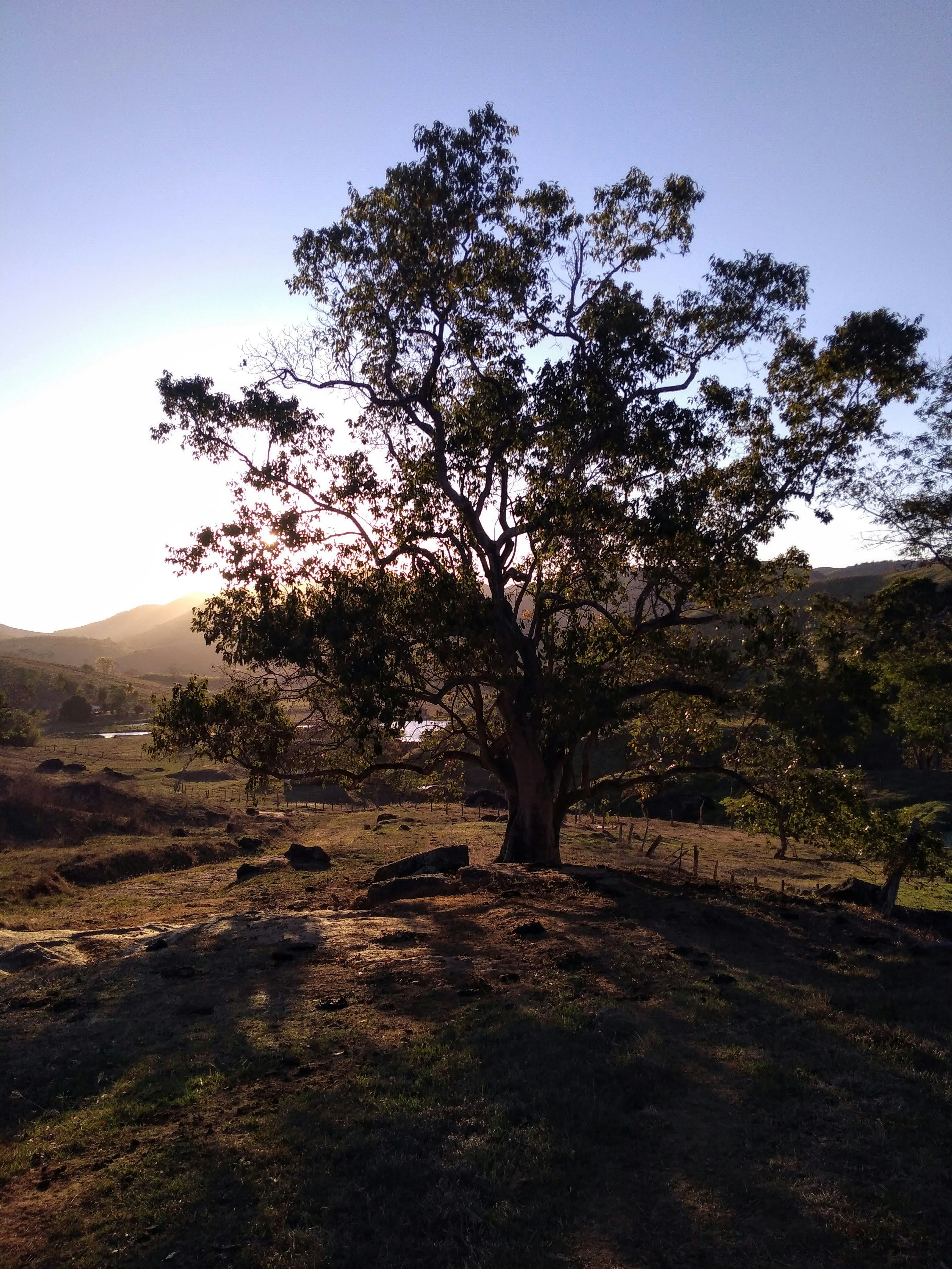 Photo by sswellington