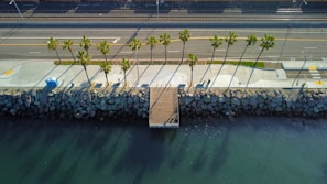 An aerial view of a coastal area featuring a row of palm trees lining a walkway adjacent to a road and railway tracks. A small wooden pier extends over the water, and the shadows of the palm trees stretch across the pavement and rocks towards the water.