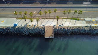 An aerial view of a coastal area featuring a row of palm trees lining a walkway adjacent to a road and railway tracks. A small wooden pier extends over the water, and the shadows of the palm trees stretch across the pavement and rocks towards the water.