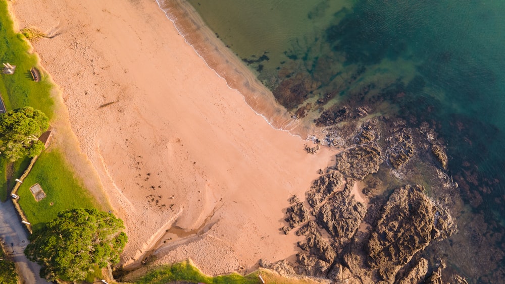 aerial view of green trees and brown sand beach
