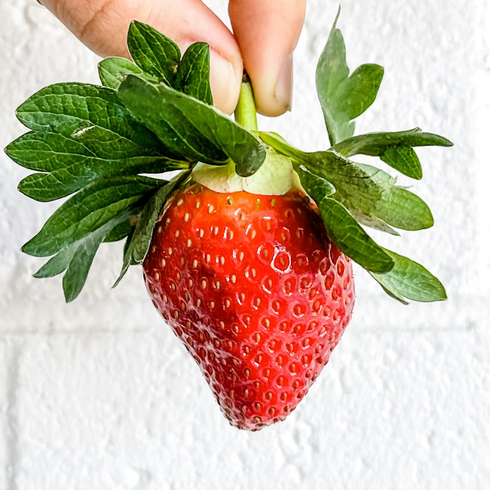 person holding strawberry fruit with green leaves
