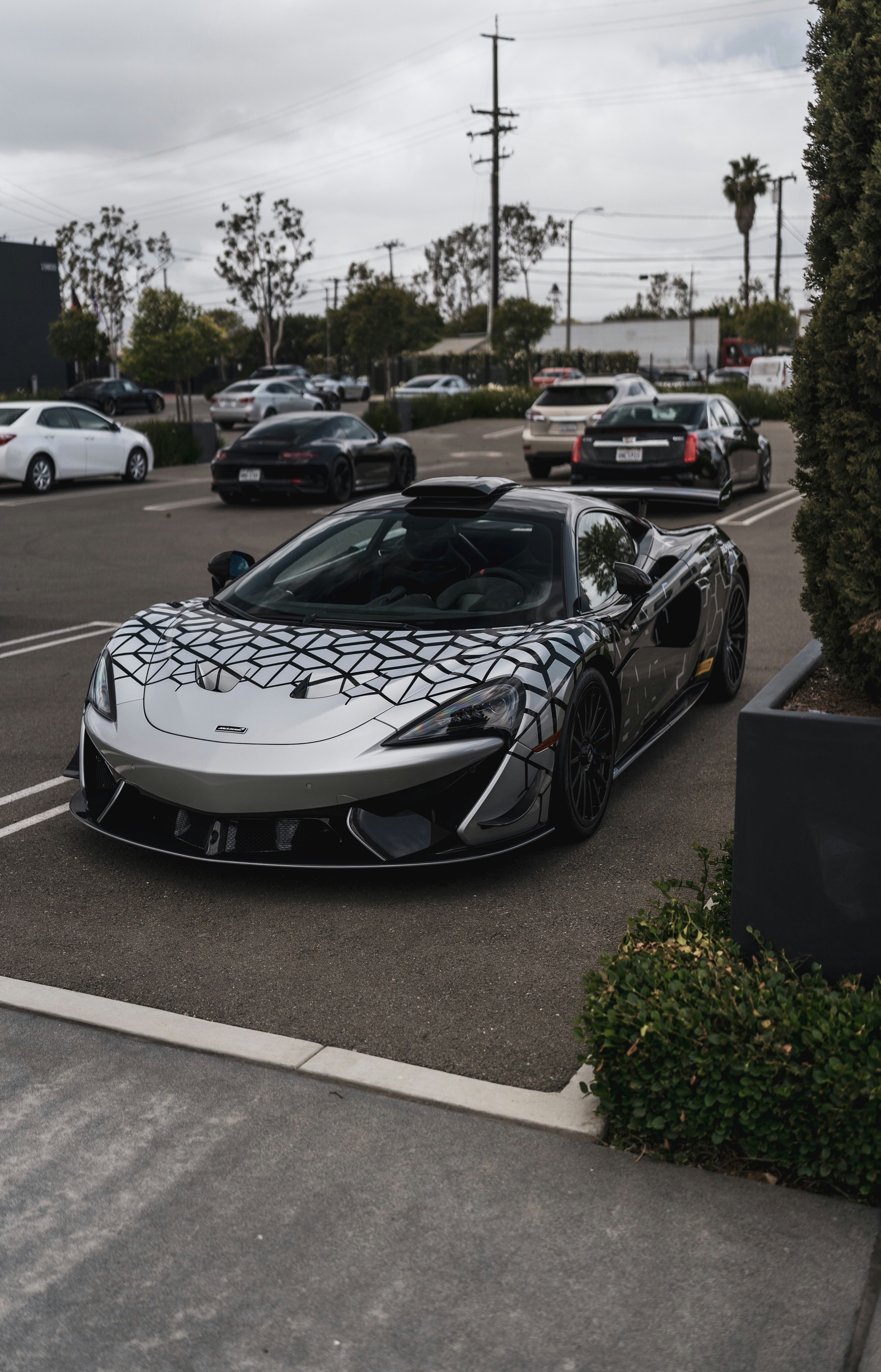 Photo by its_jacobli