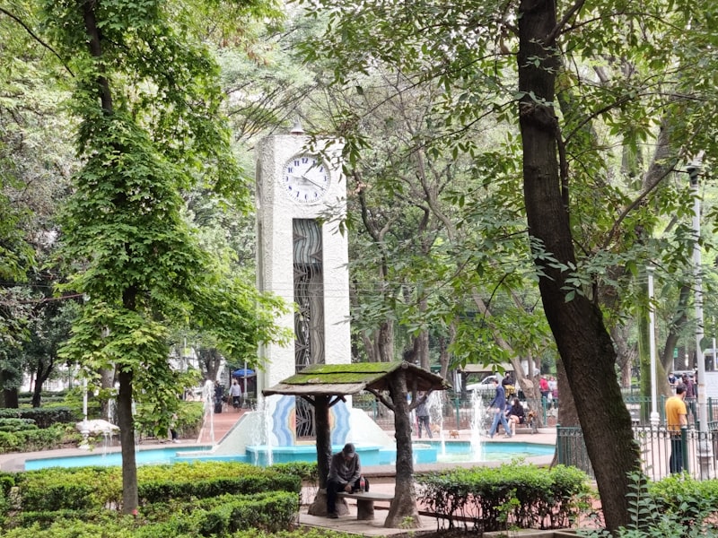 Condesa furnished apartments