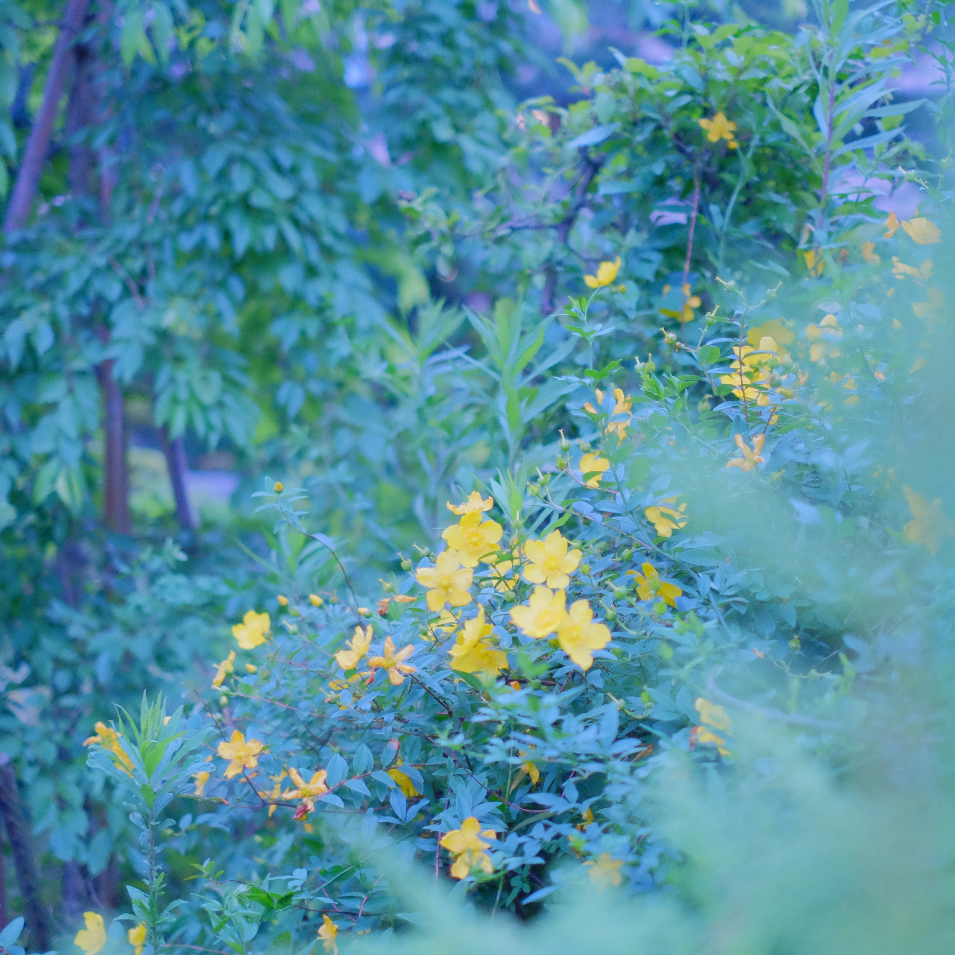 Photo by kiyomishiomura