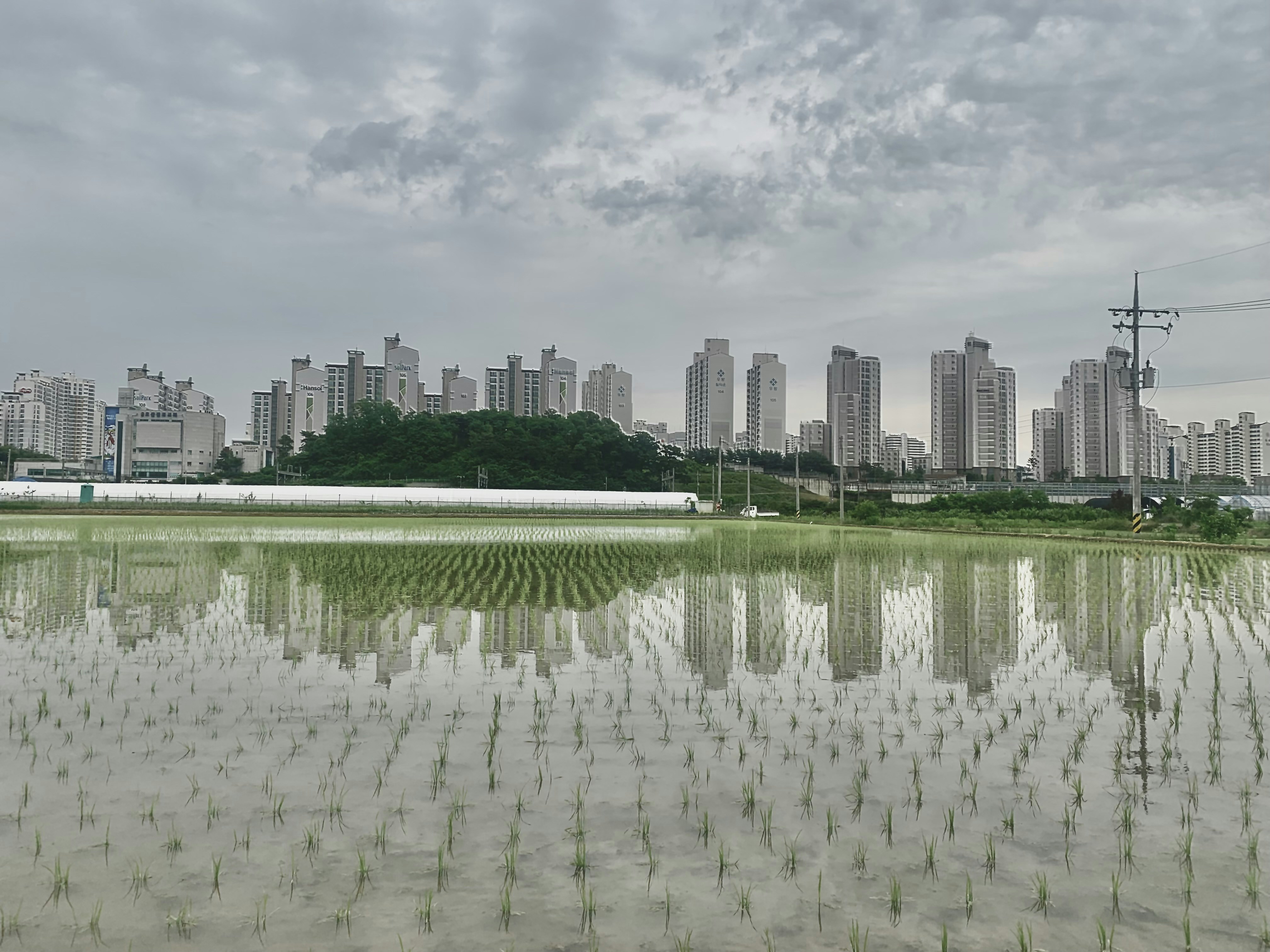Fertilizer production facility