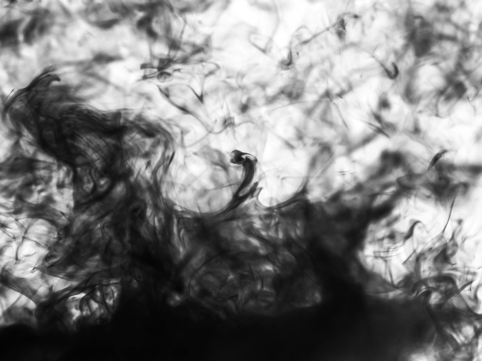 The rising gaseous texture of dry ice inverted to appear black. 