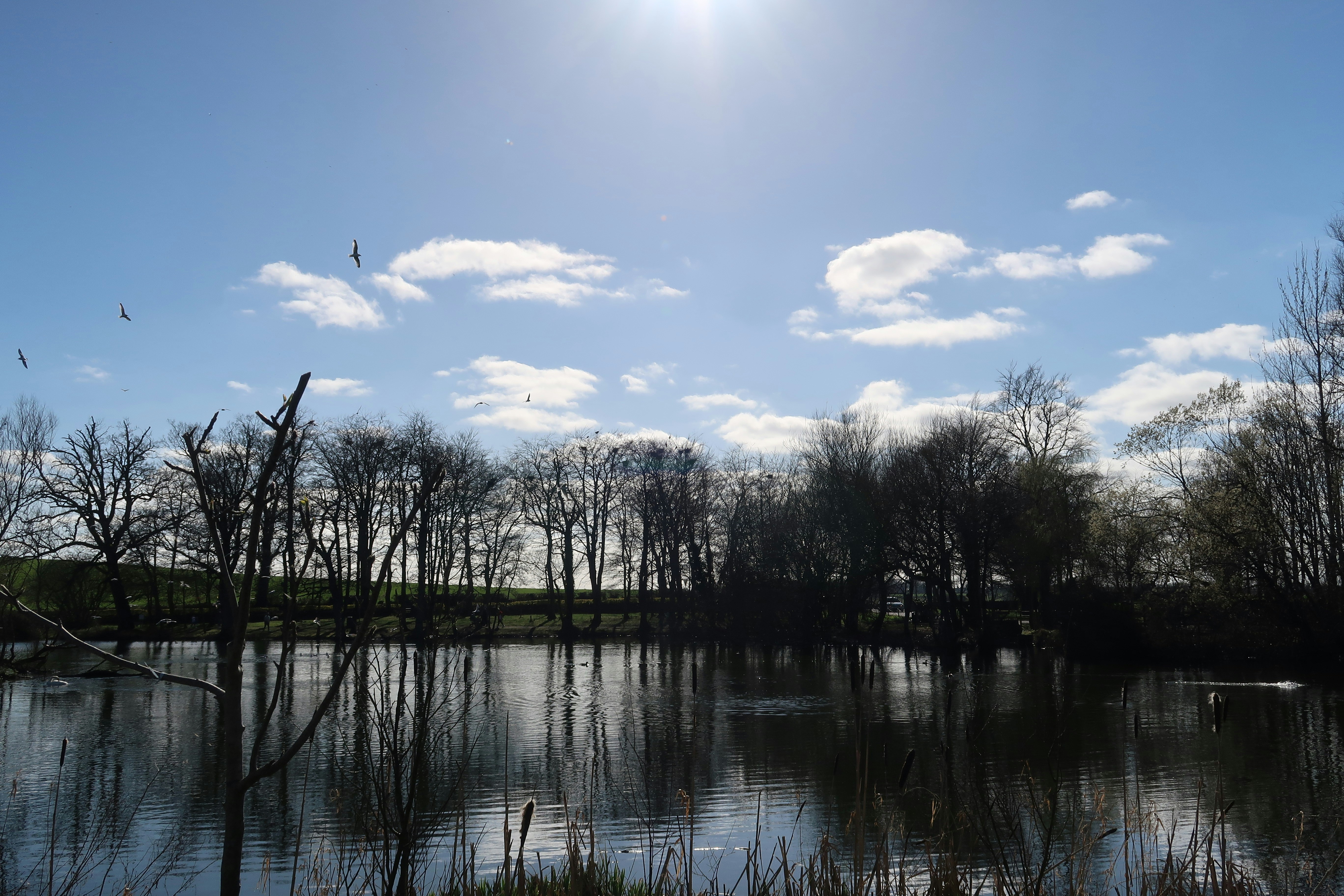 Photo by nadsgracexox