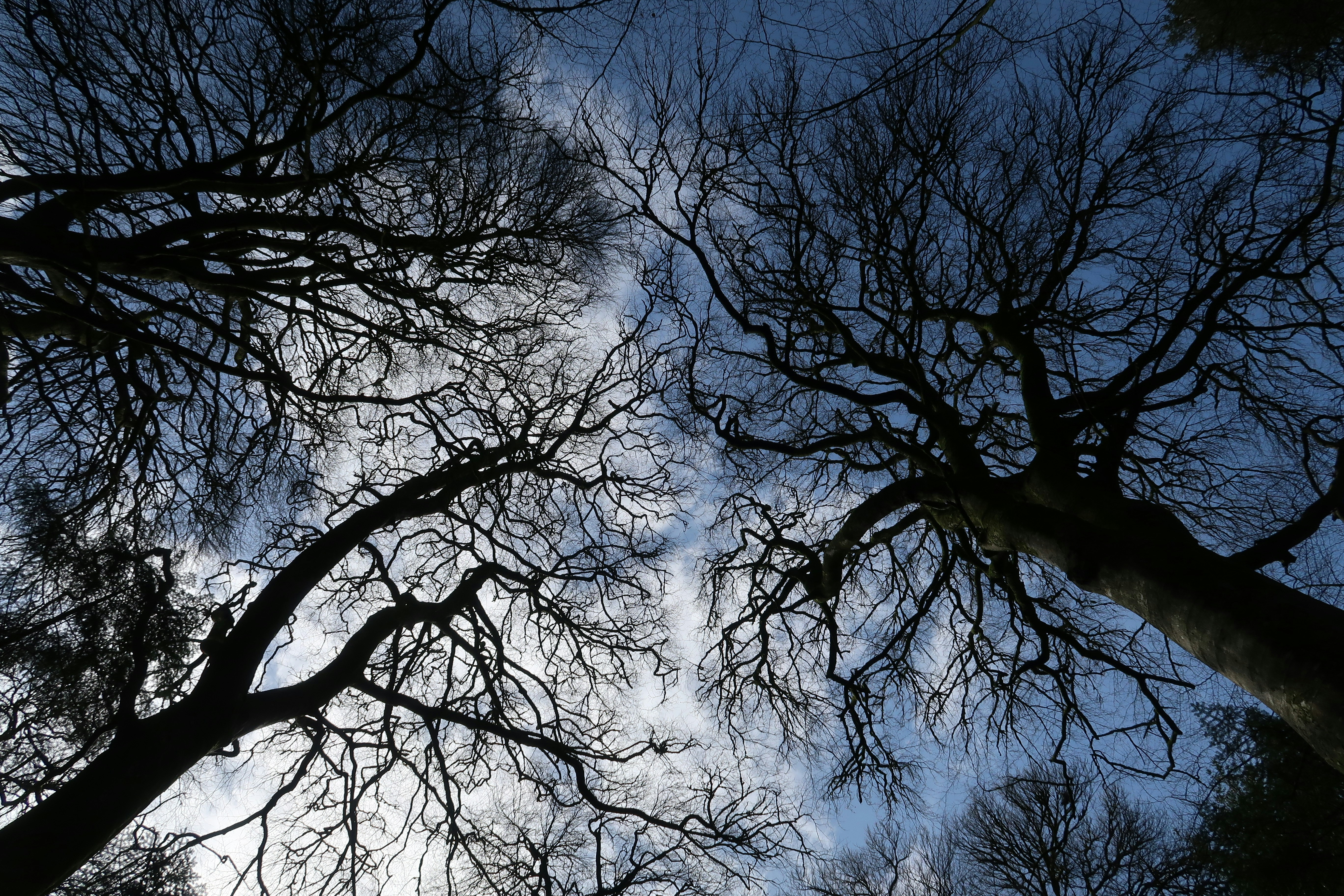 Photo by nadsgracexox