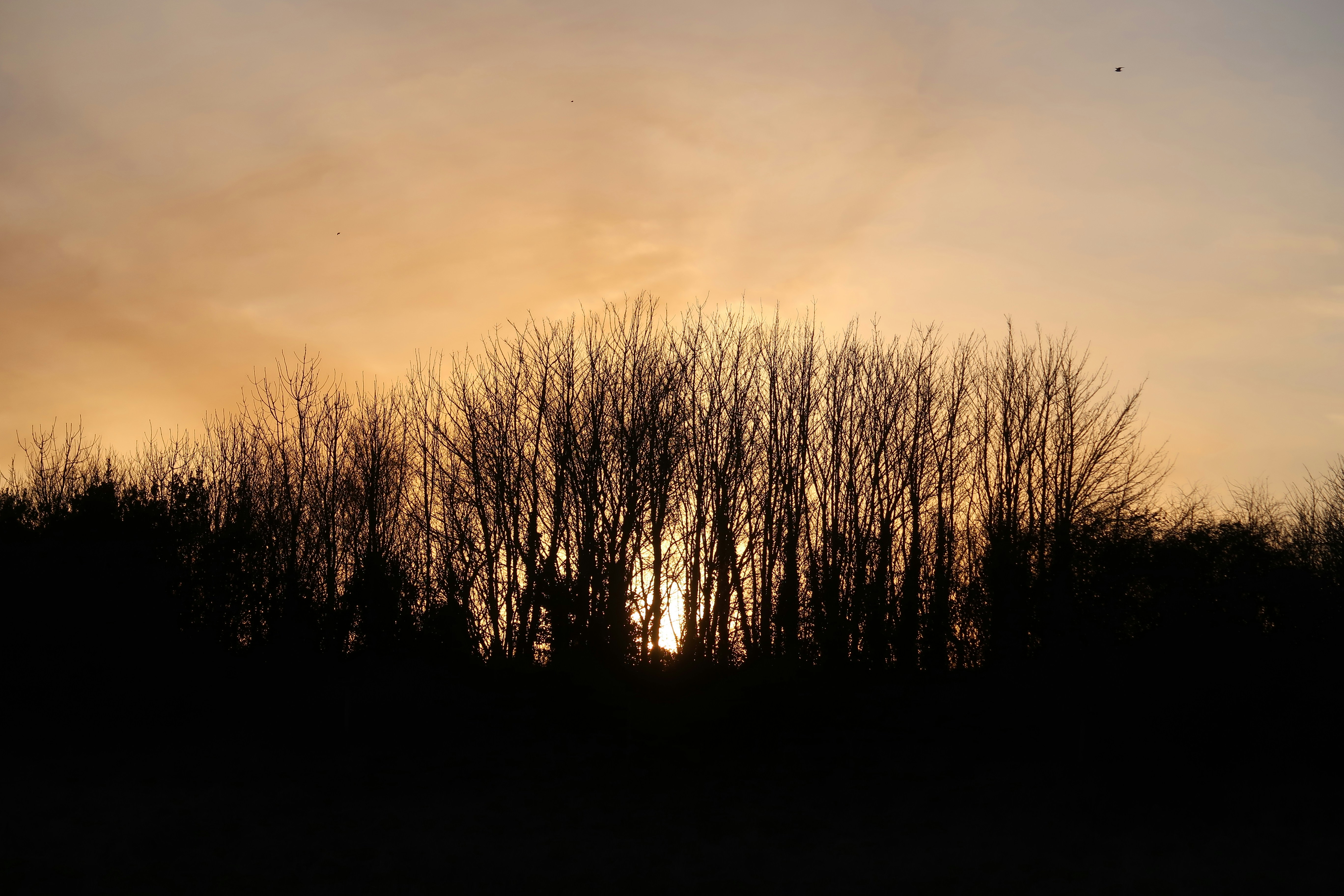 Photo by nadsgracexox