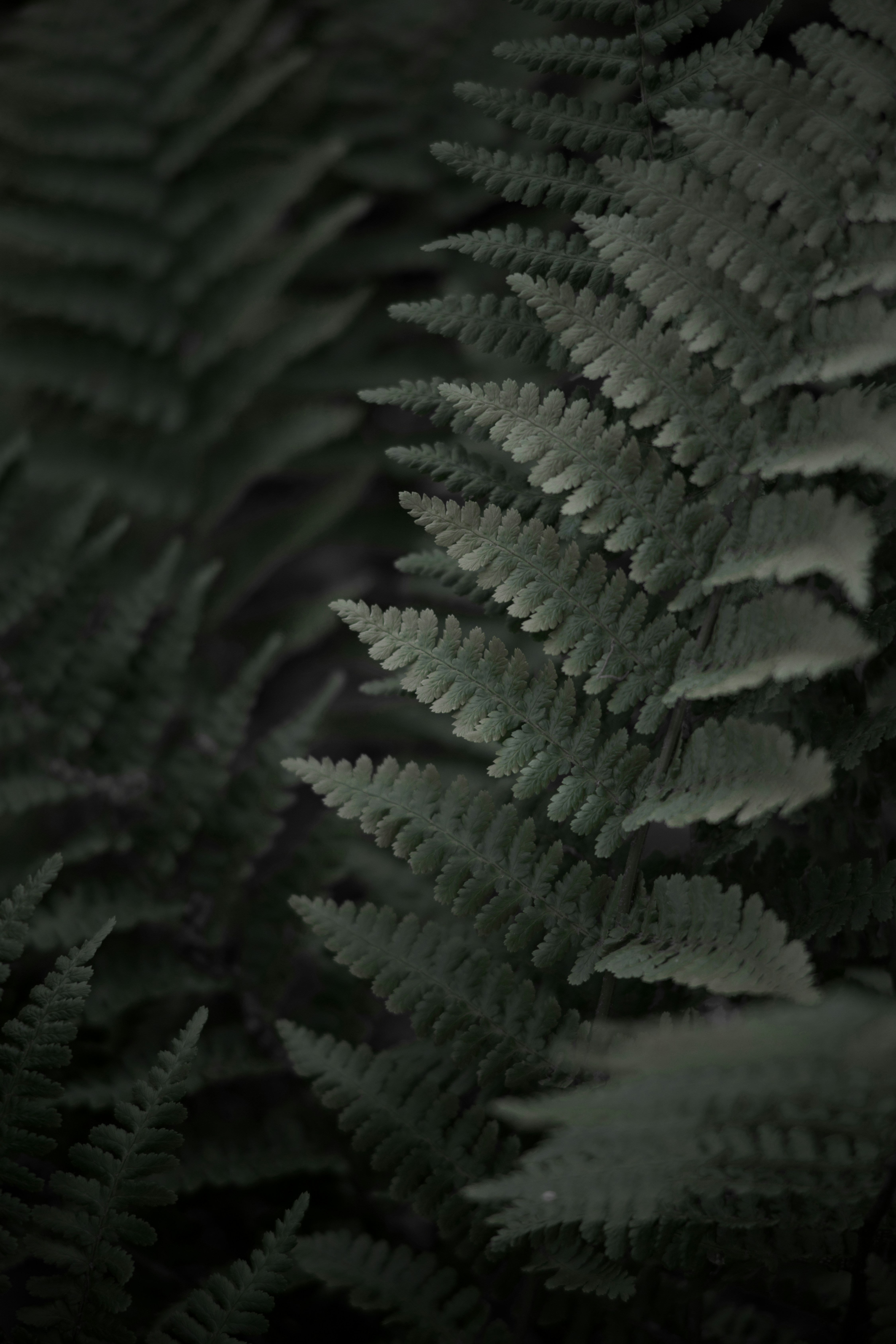 Photo by ldpeterson11