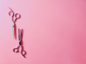 silver scissors and silver scissors