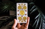 A hand is holding a tarot card with ornate designs featuring a crest in the center. The card displays a symmetrical pattern with floral motifs and a prominent shield-shaped emblem adorned with fleur-de-lis. The background includes large green leaves, possibly from a tropical plant, adding a natural setting to the foreground.