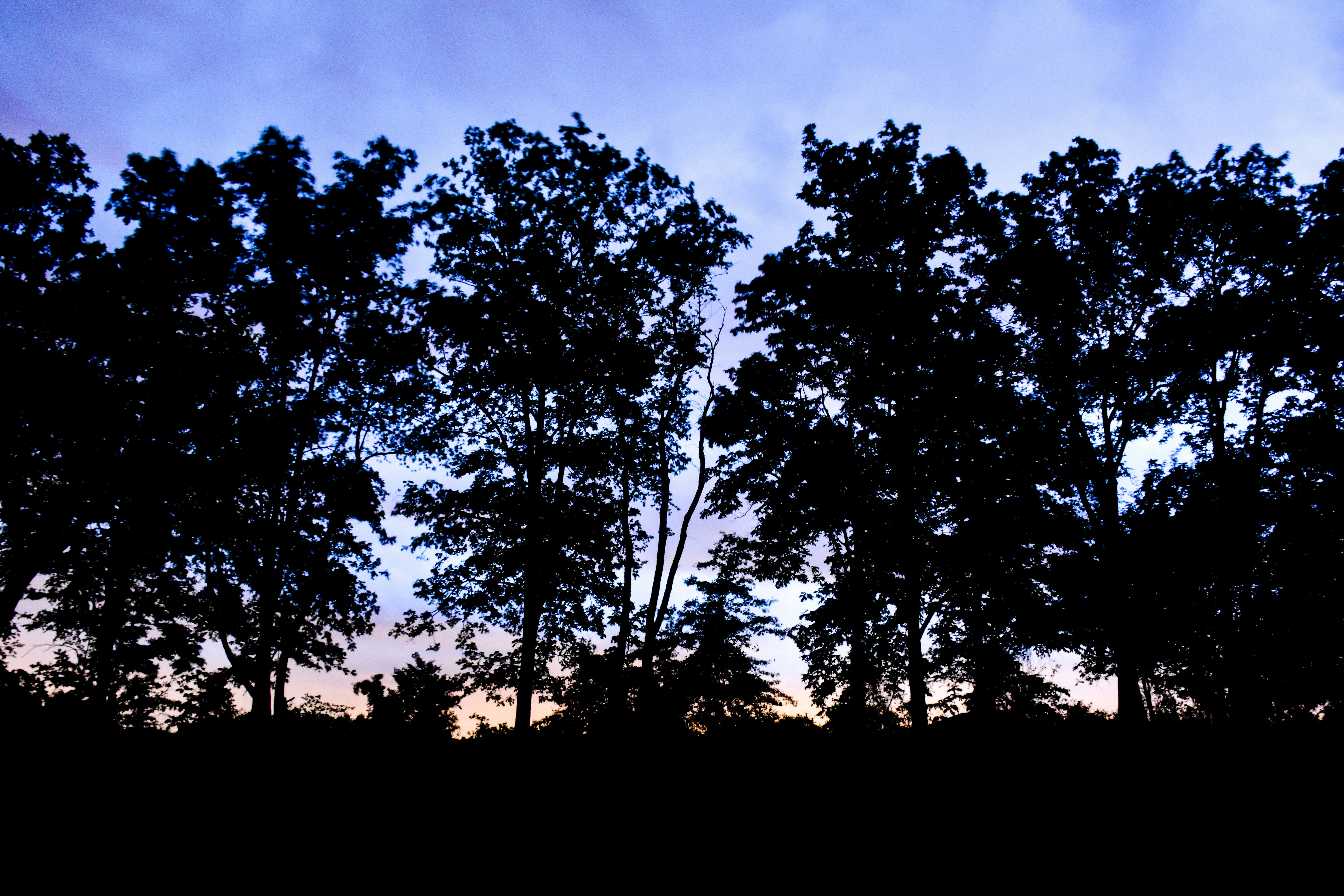 Photo by jasonmphoto