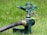 A green metal garden sprinkler is positioned on the grass, connected to a black hose. The sprinkler has intricate metal parts including a spring and levers, designed to distribute water across a lawn.