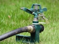 A green metal garden sprinkler is positioned on the grass, connected to a black hose. The sprinkler has intricate metal parts including a spring and levers, designed to distribute water across a lawn.