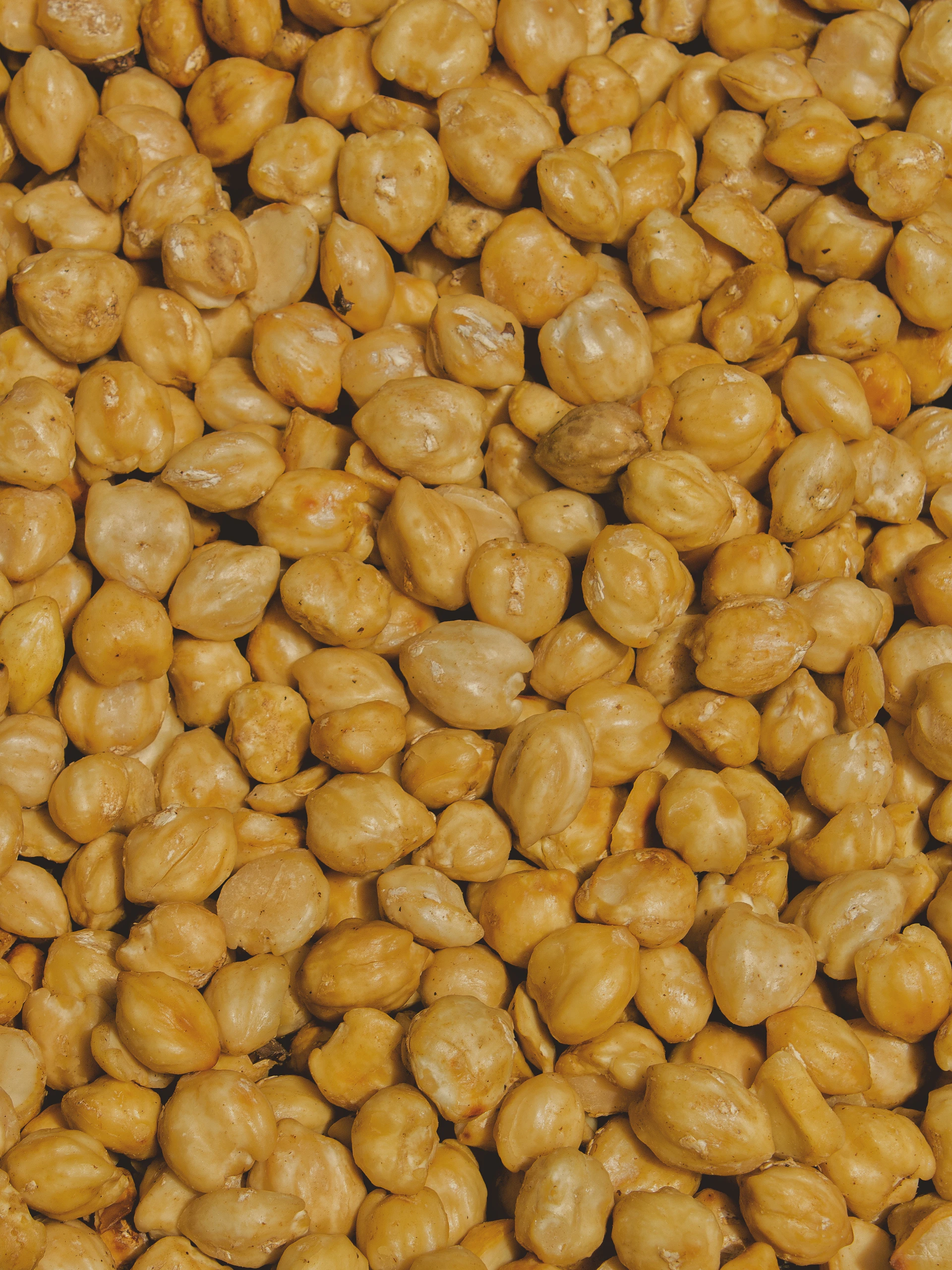 brown and black beans in close up photography