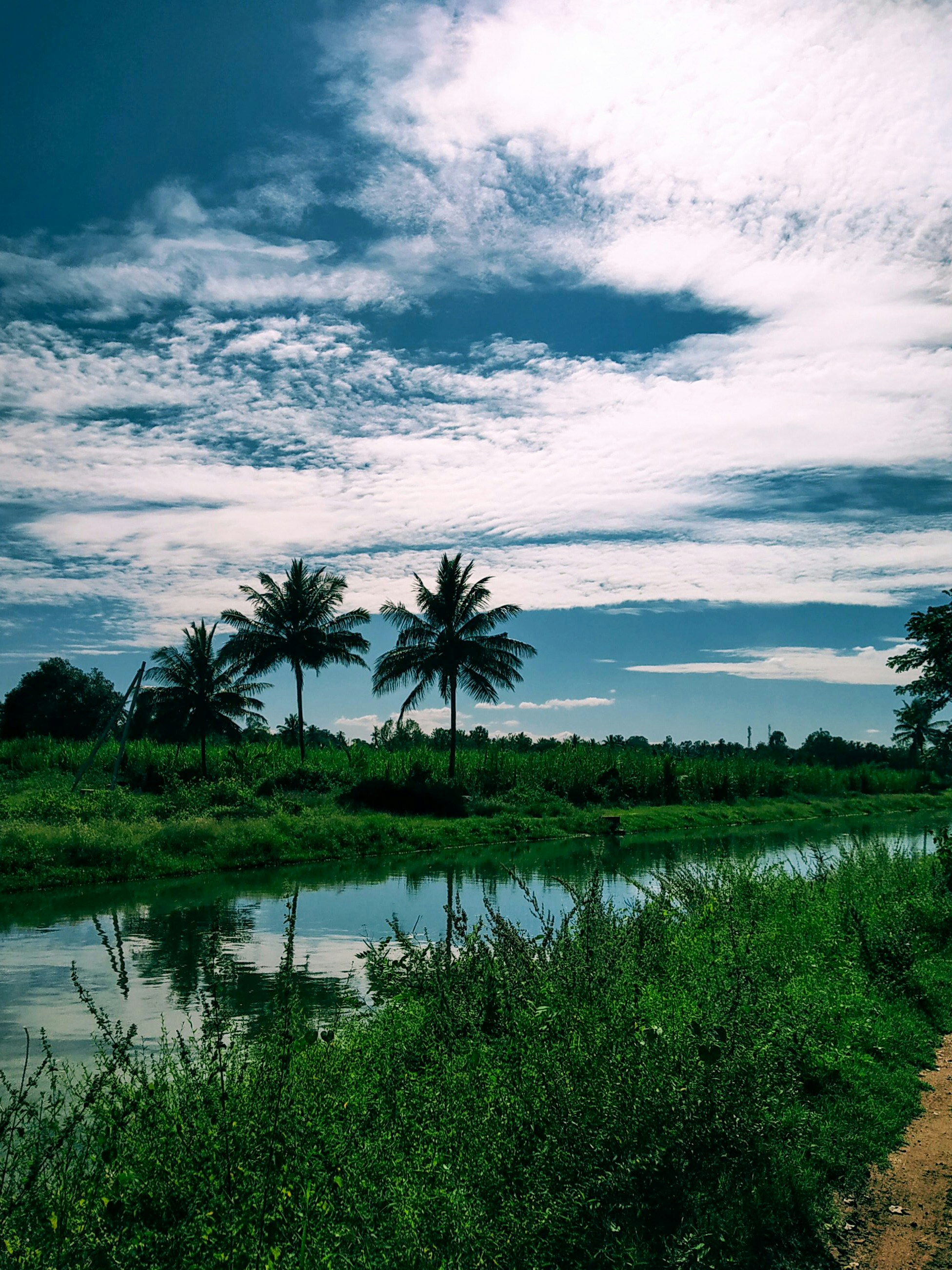 Photo by rahuls56789