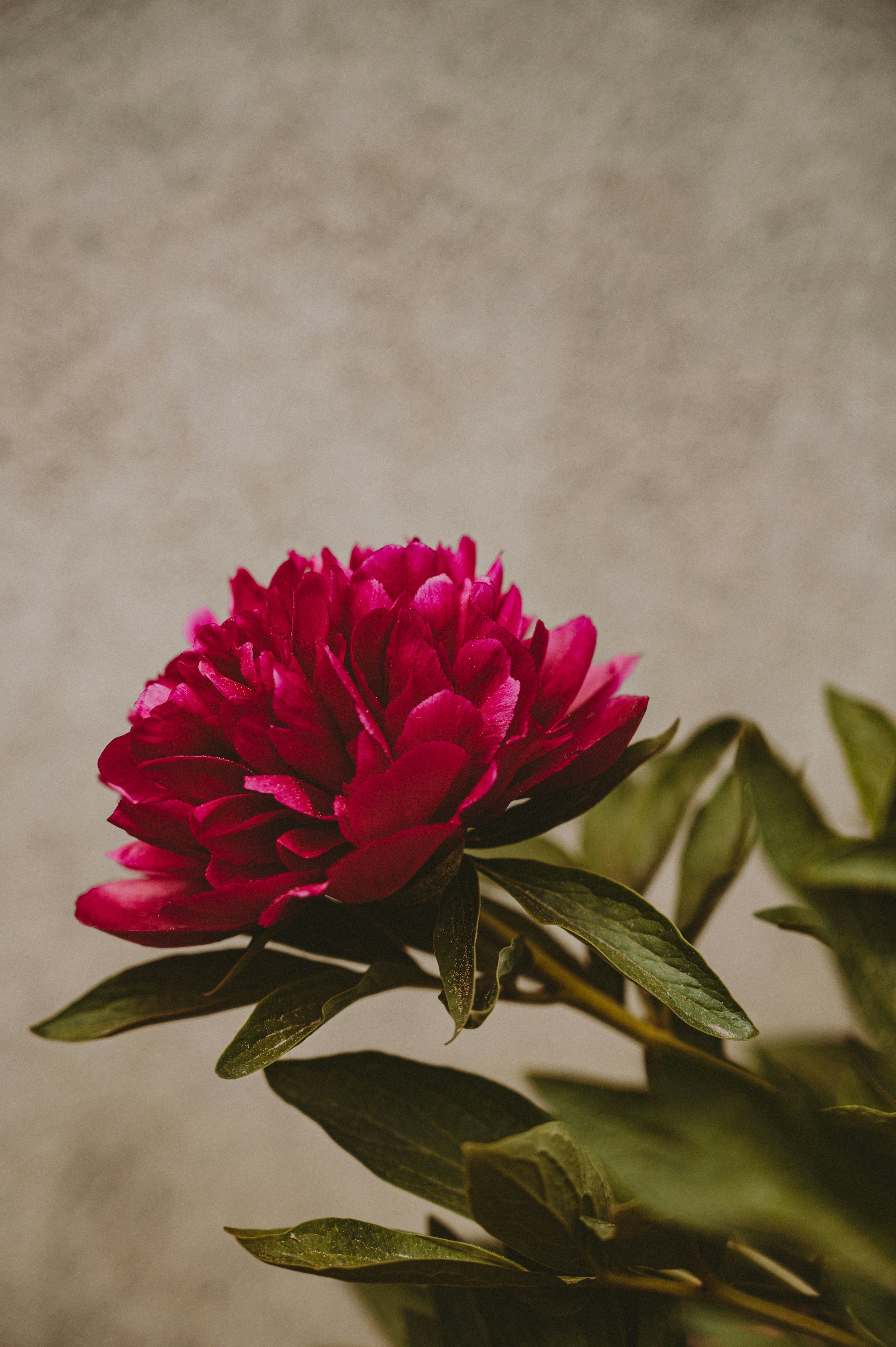 Photo by ryunosuke_kikuno