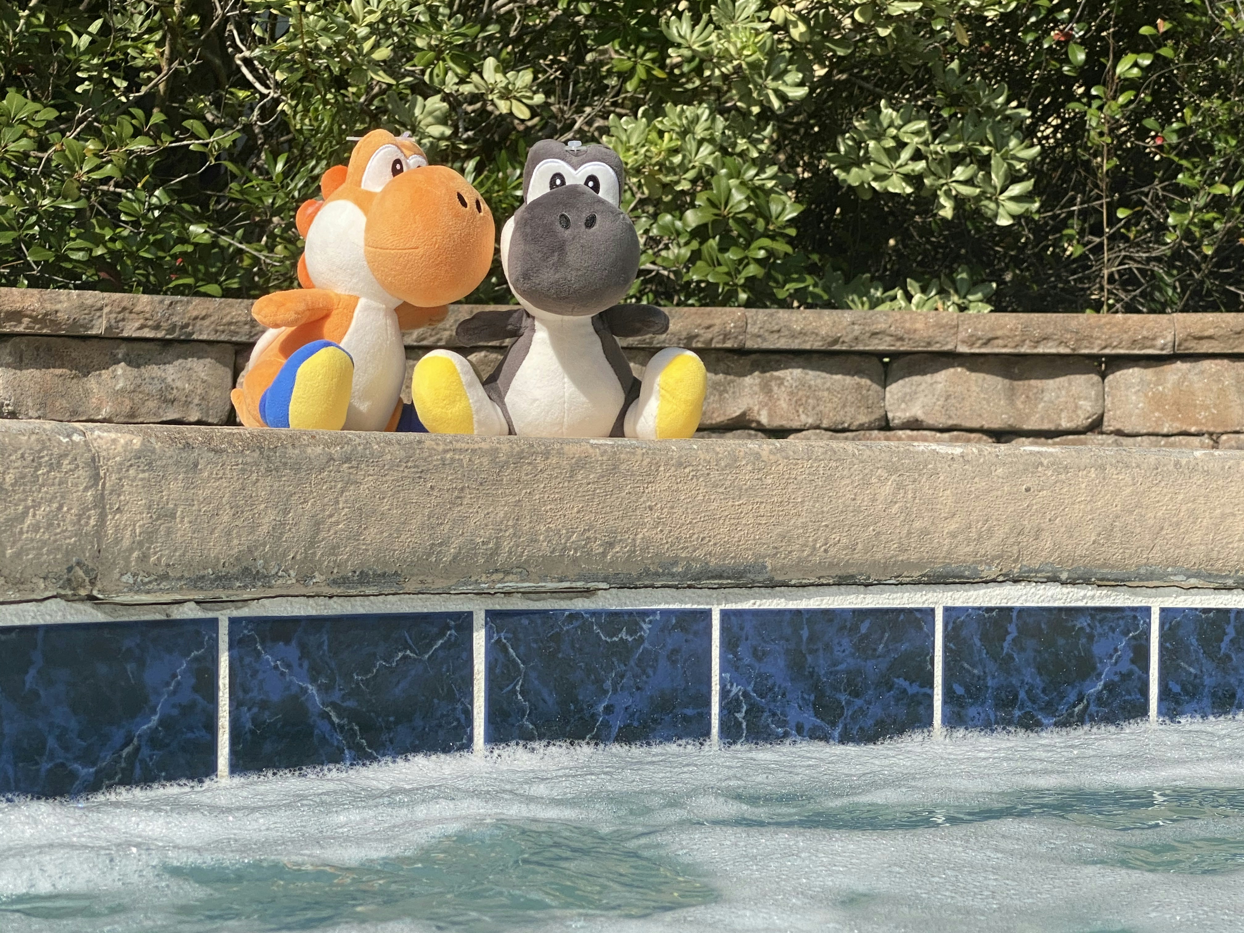 two yellow duck plush toys on concrete wall near swimming pool during daytime