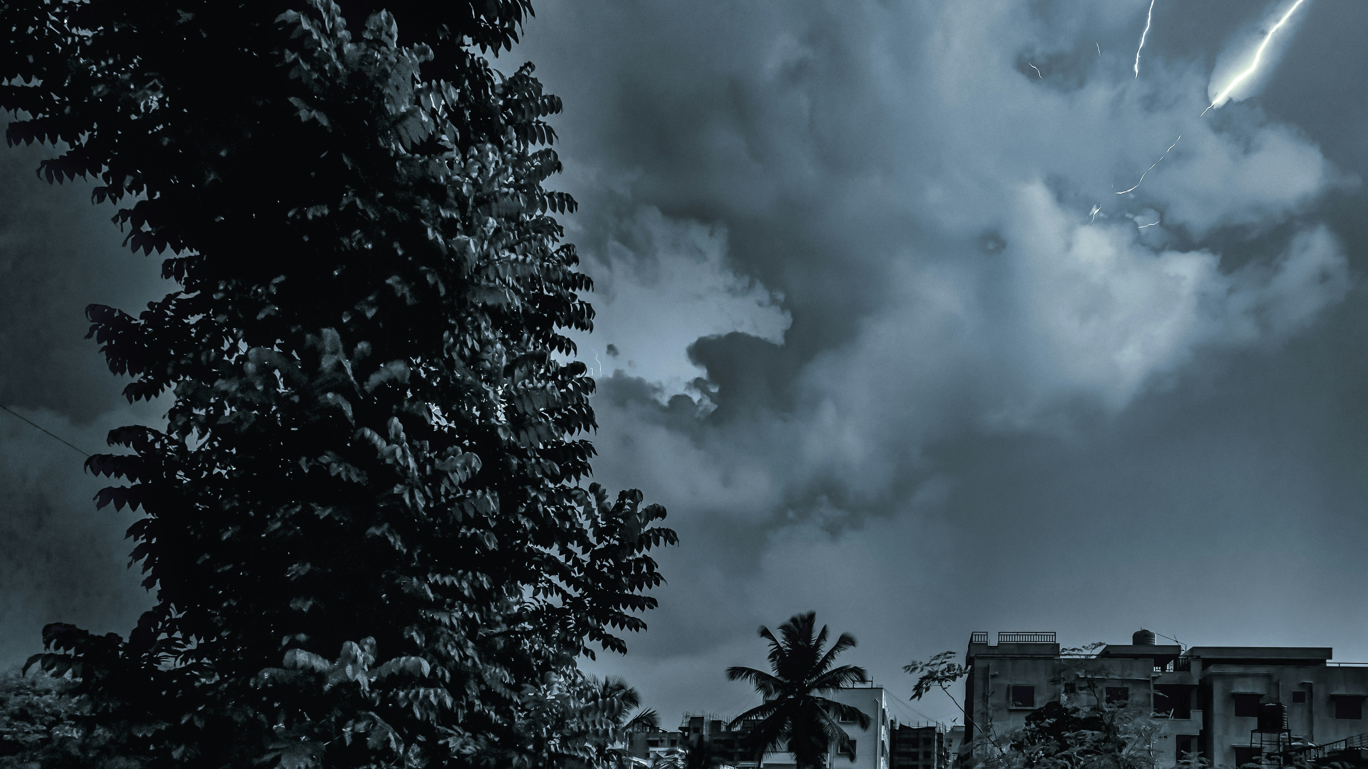green trees under cloudy sky during daytime