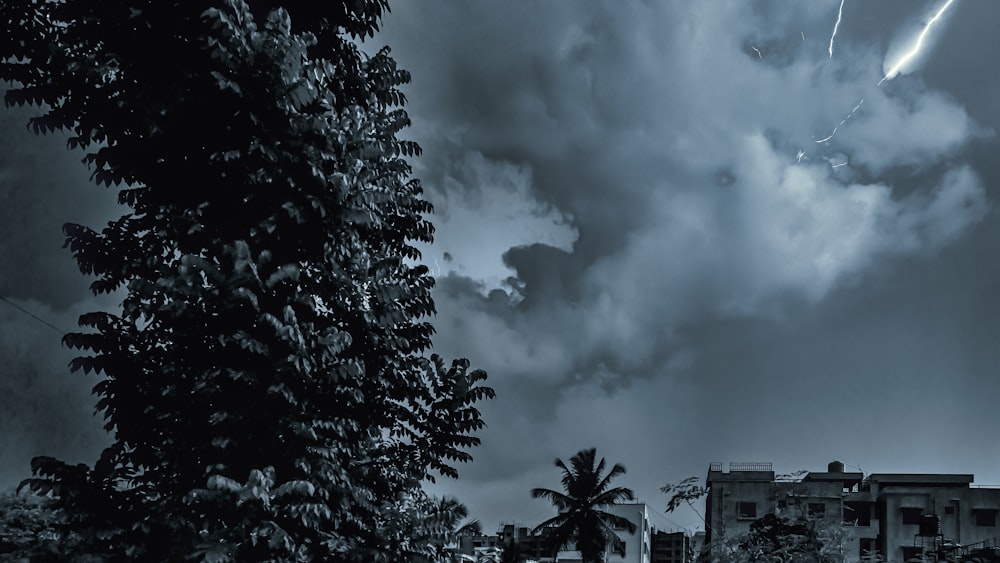 green trees under cloudy sky during daytime