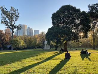green grass field with trees and buildings in distance