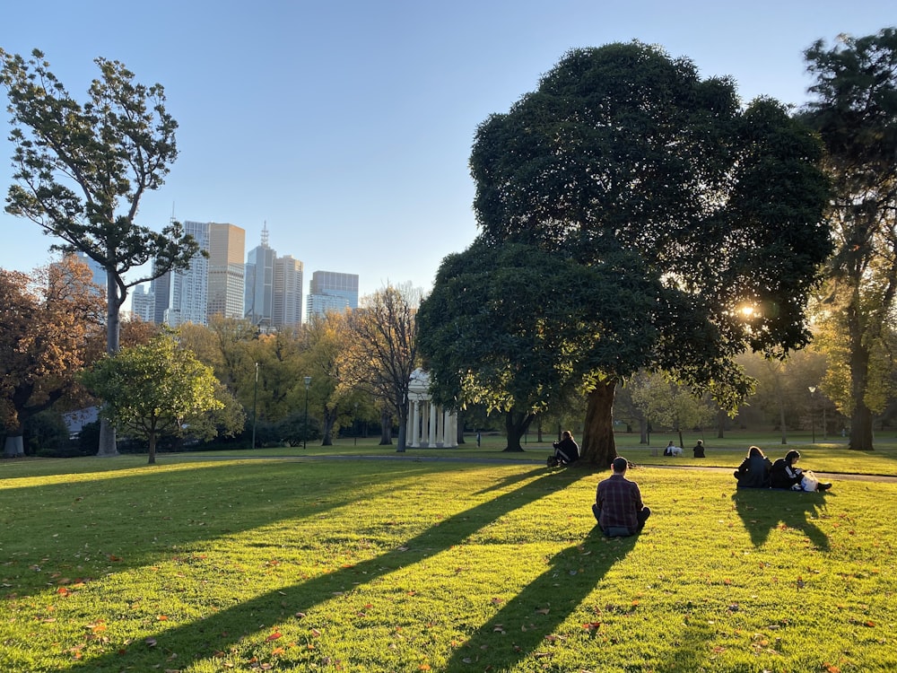 green grass field with trees and buildings in distance