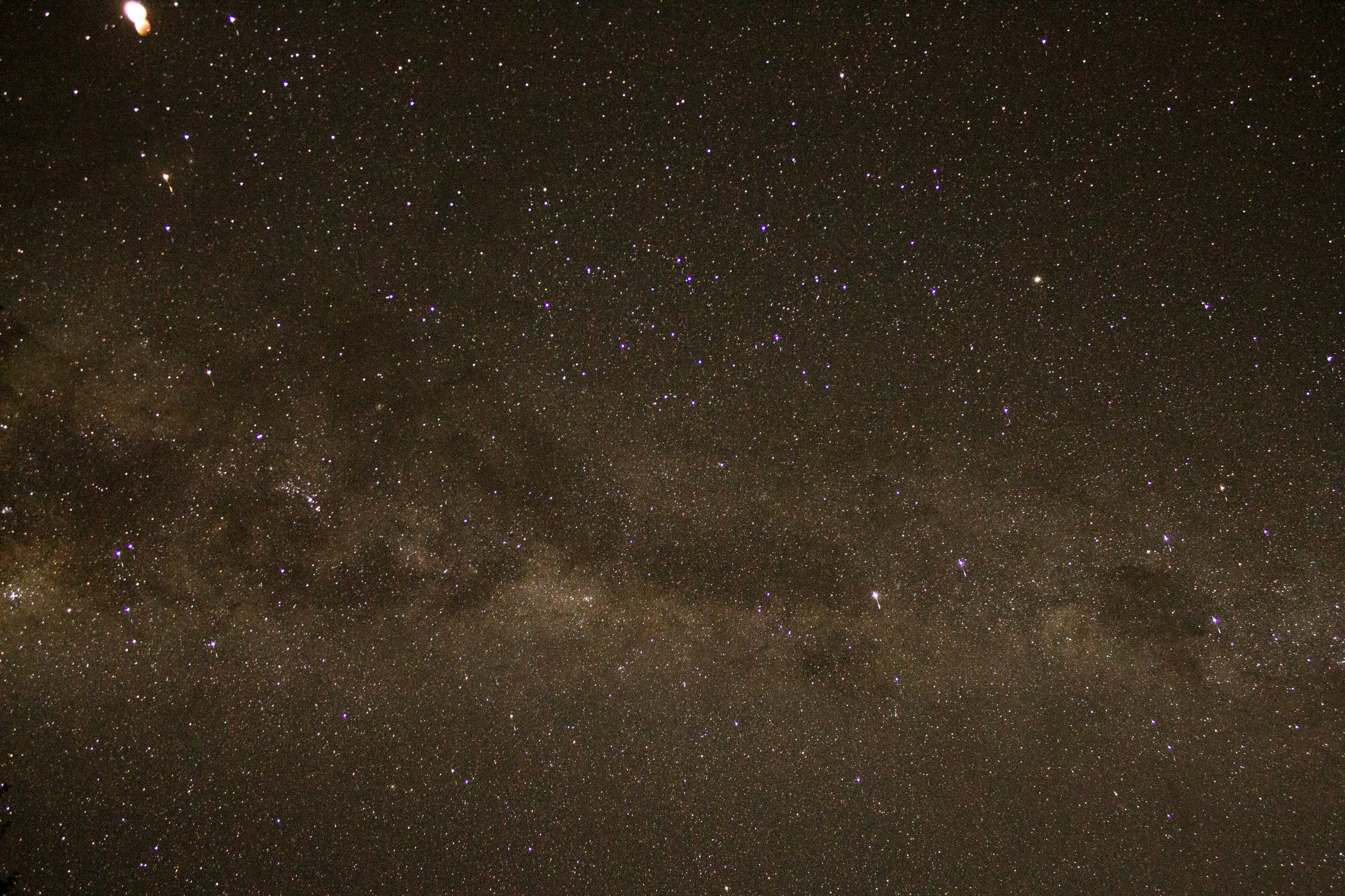 Photo by mdea_photography