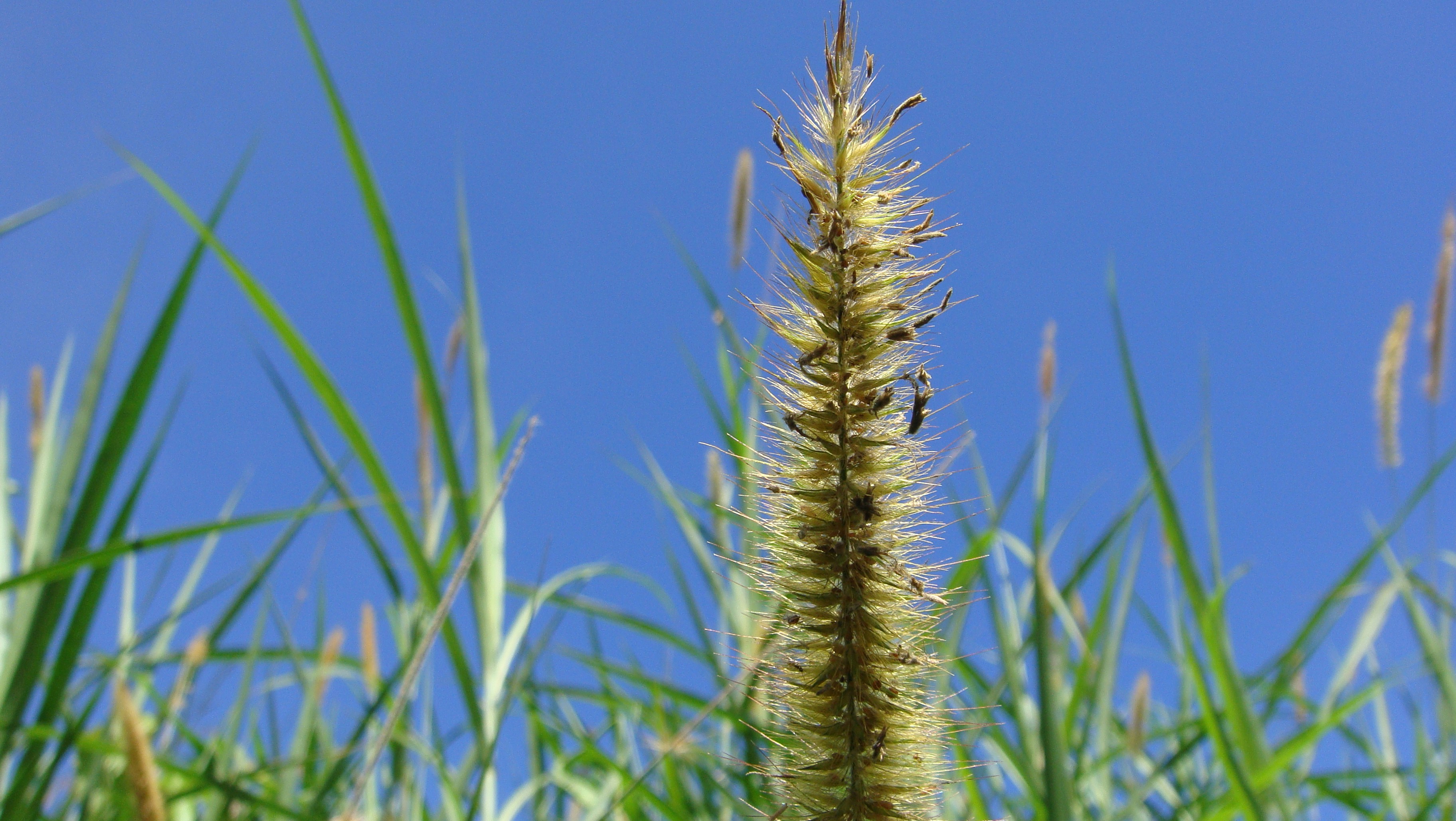 Photo by romiyusardi