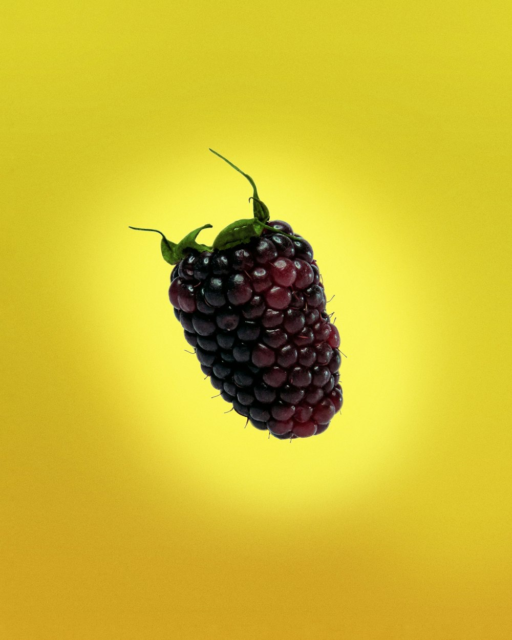 검은 색과 빨간색 둥근 과일